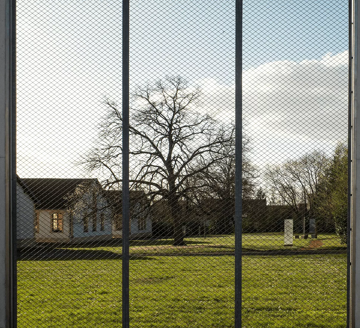 View through a dark steel mesh security fence of a bare tree, green lawn, and a house under a cloudy sky.