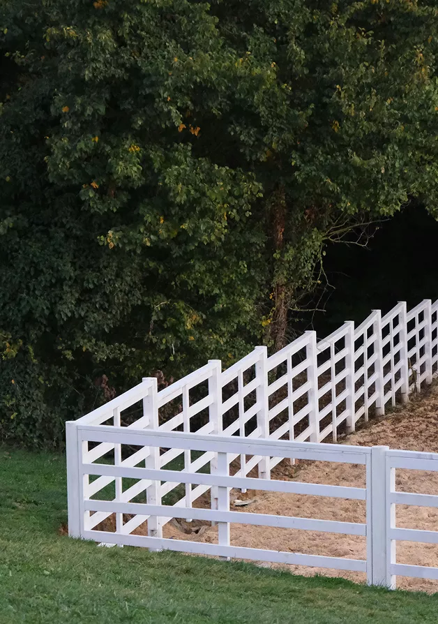 White 4-rail wooden fence enclosing a sandy horse arena beside a dense green tree line in late afternoon light.